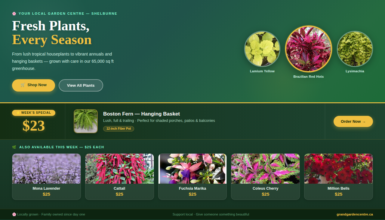garden_centre_banner_9.png